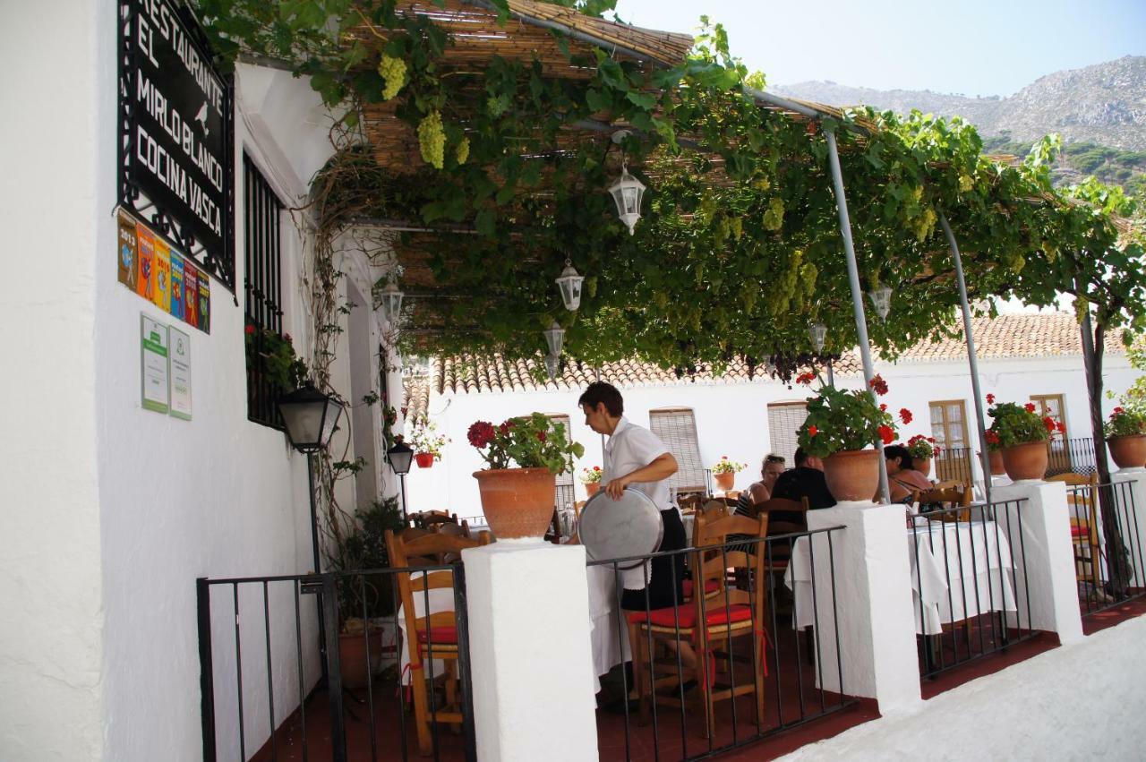 Elviria Apartment マルベーリャ エクステリア 写真